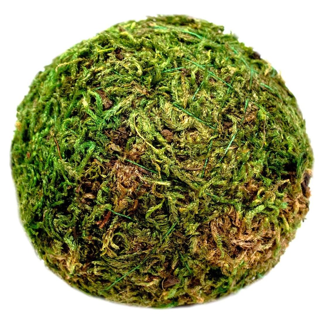 Bolas de Musgo SuperMoss Verde Fresco 5 cm Paquete de 4