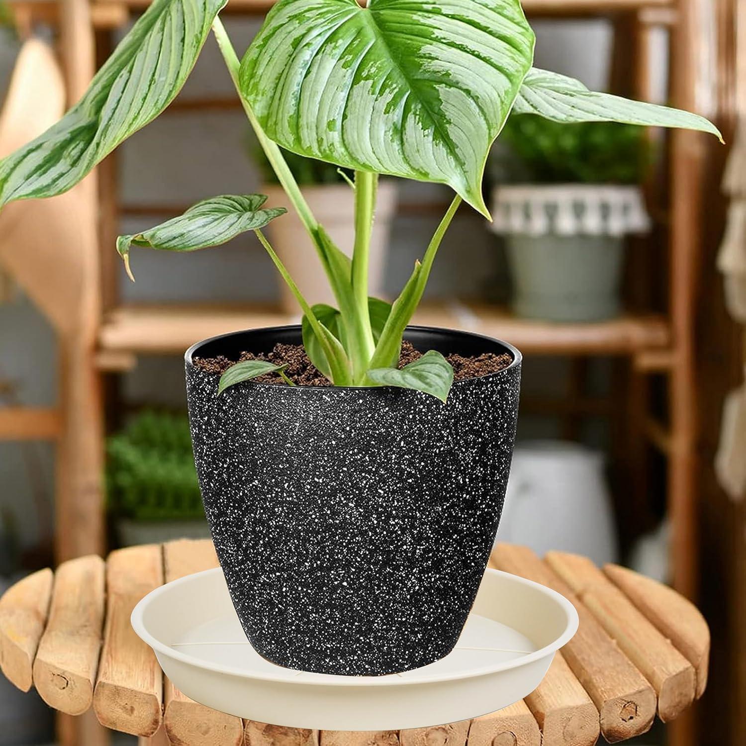 Paquete de 6 bandejas de goteo OVZILKI 10 cm beige