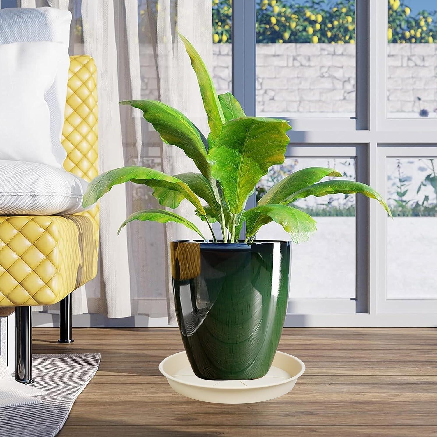 Paquete de 6 bandejas de goteo OVZILKI 10 cm beige