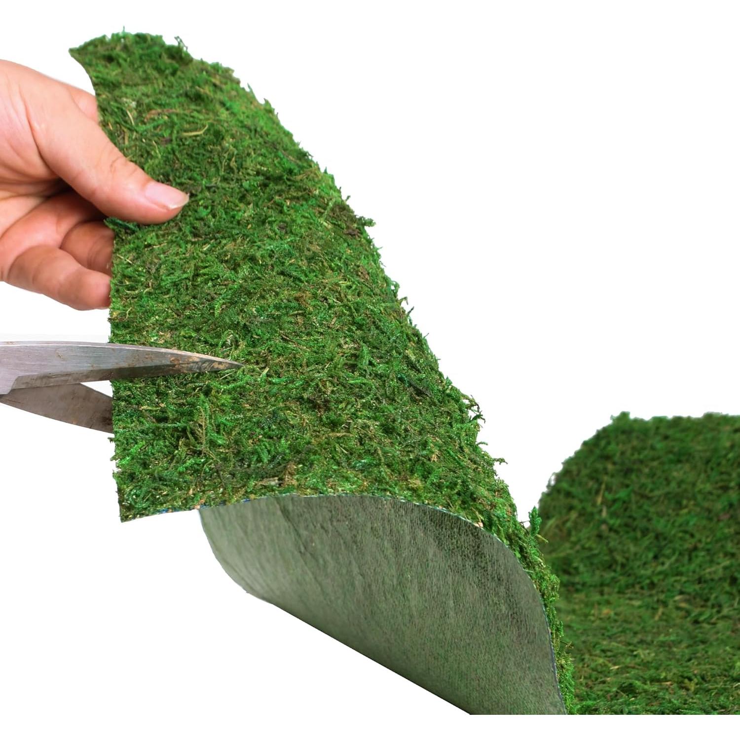 Moss Roll USMOLA 30x152 cm Musgo Seco para Manualidades