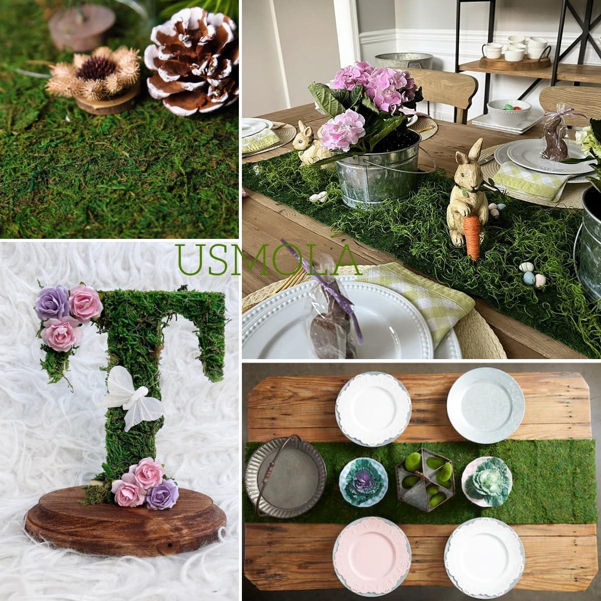 Moss Roll USMOLA 30x152 cm Musgo Seco para Manualidades