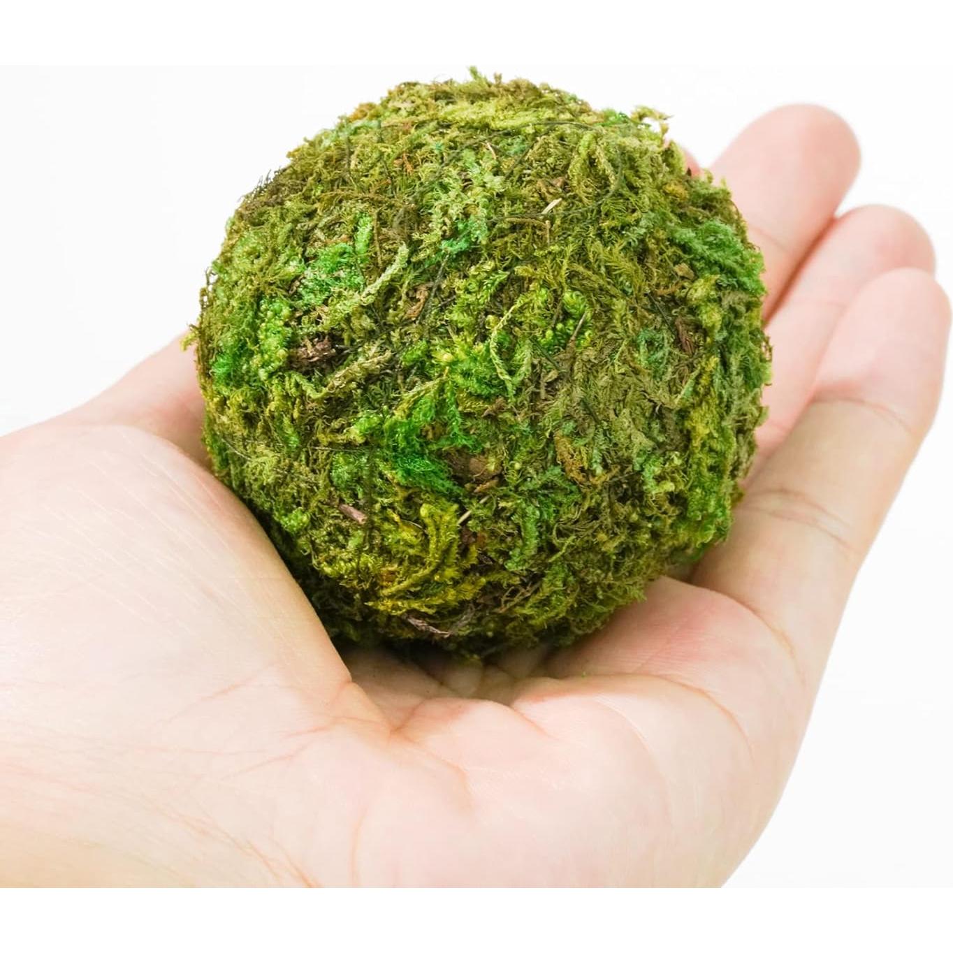 Bolas Decorativas de Musgo Verde Natural Tongcloud - 6 Piezas 6cm