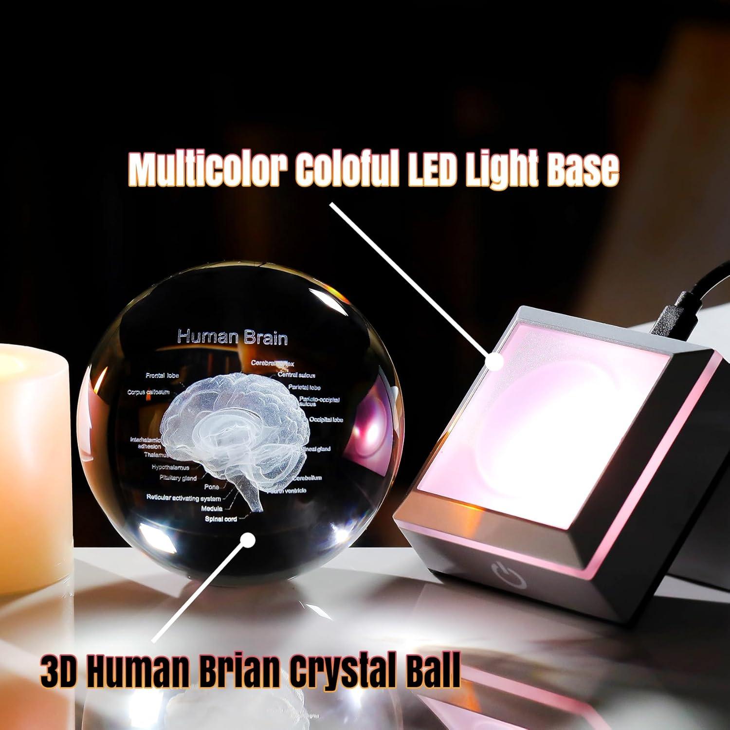 Bola de Cristal 3D Cerebro Humano 8 cm Ornalrist con Base LED