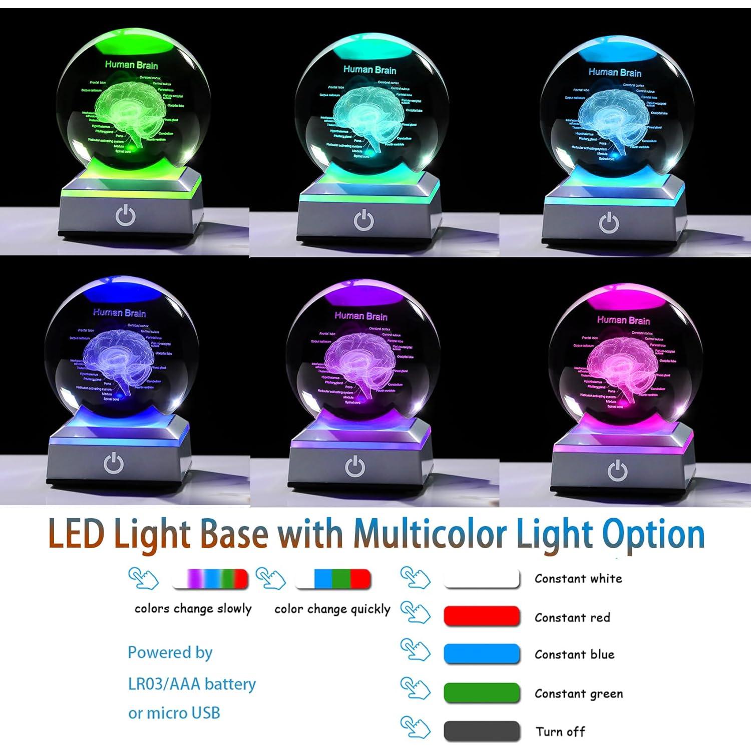 Bola de Cristal 3D Cerebro Humano 8 cm Ornalrist con Base LED