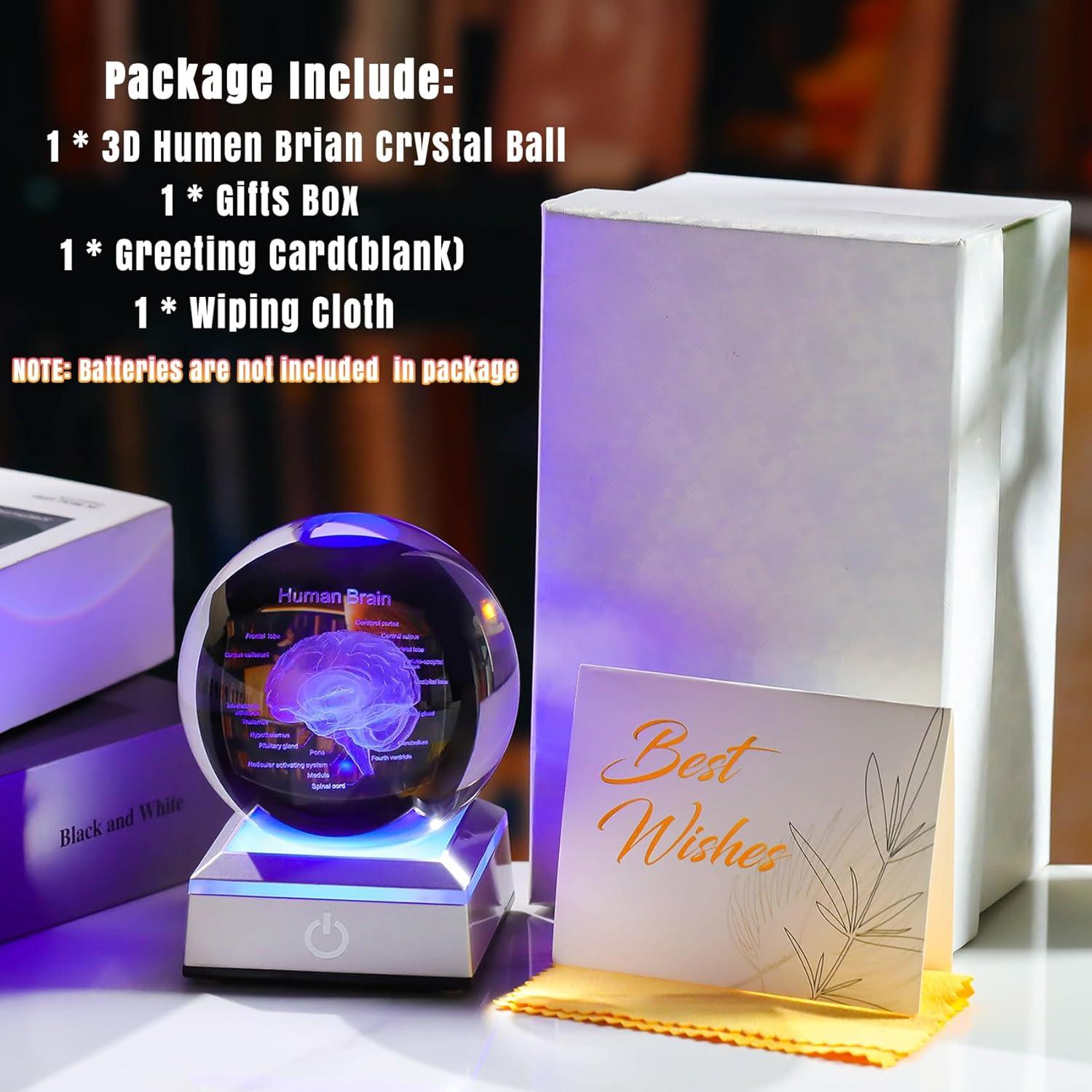 Bola de Cristal 3D Cerebro Humano 8 cm Ornalrist con Base LED