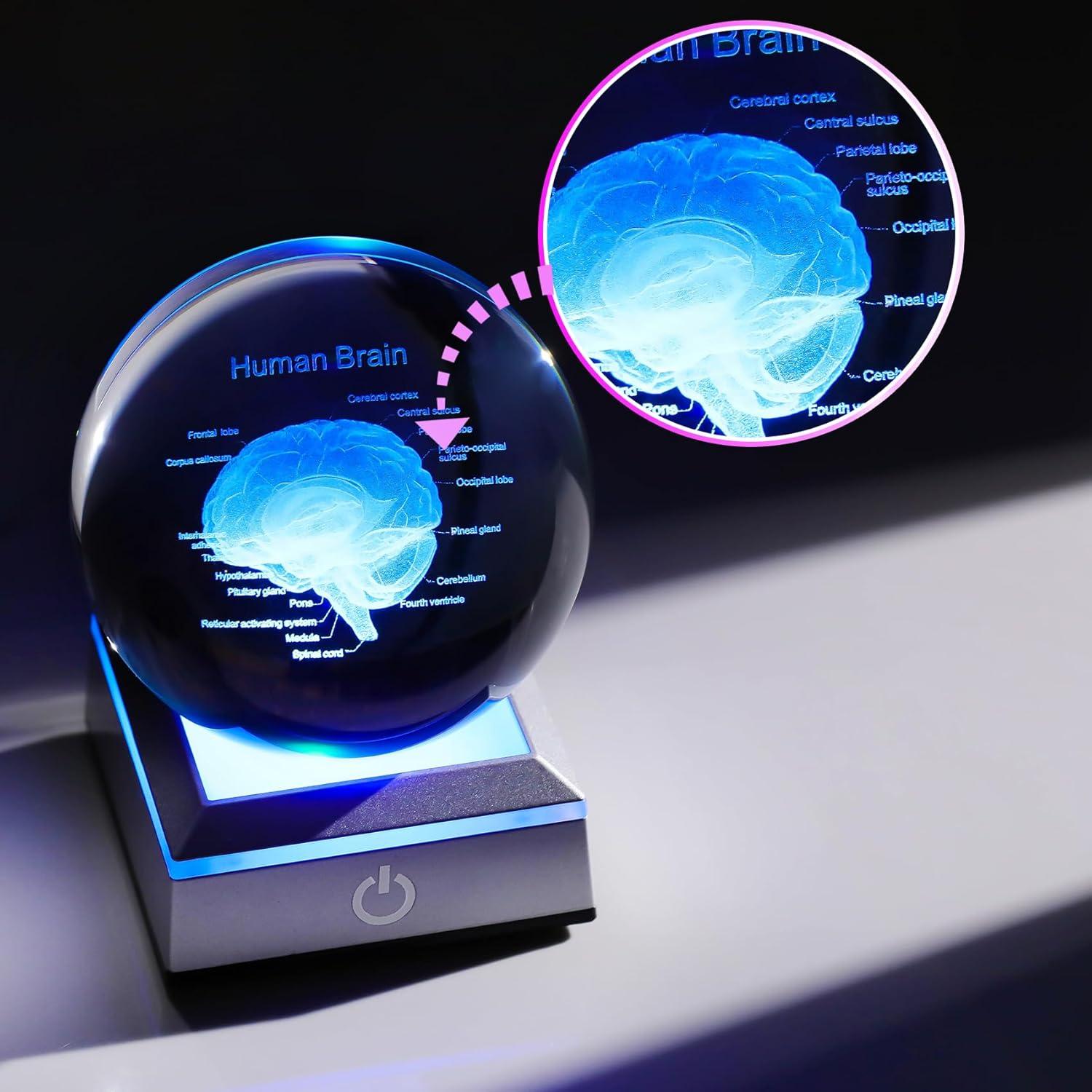 Bola de Cristal 3D Cerebro Humano 8 cm Ornalrist con Base LED
