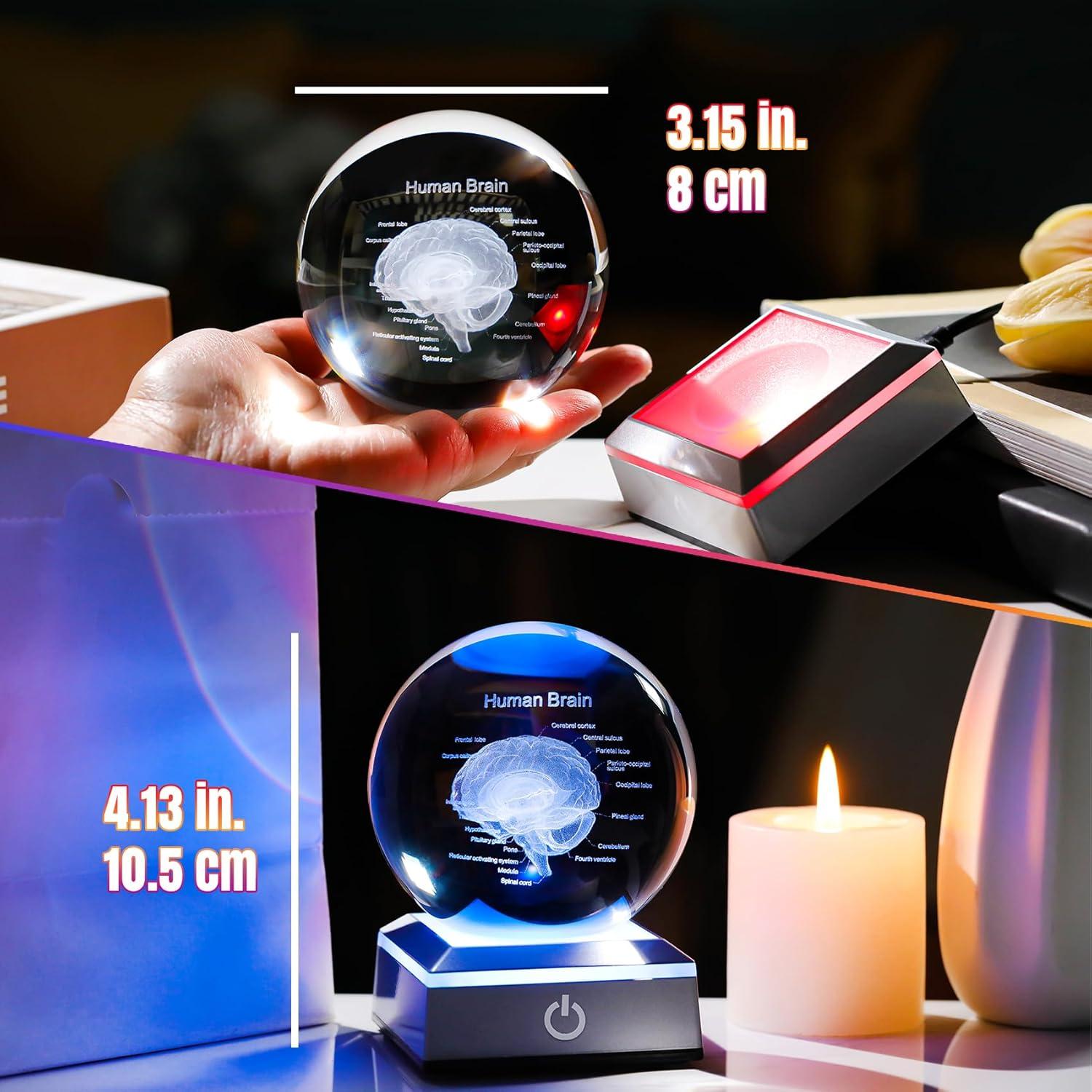 Bola de Cristal 3D Cerebro Humano 8 cm Ornalrist con Base LED