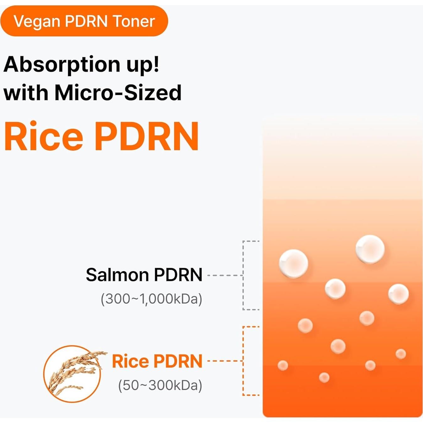 Tónico de Vitamina PDRN Dear Klairs 30 ml - Cuidado de Piel