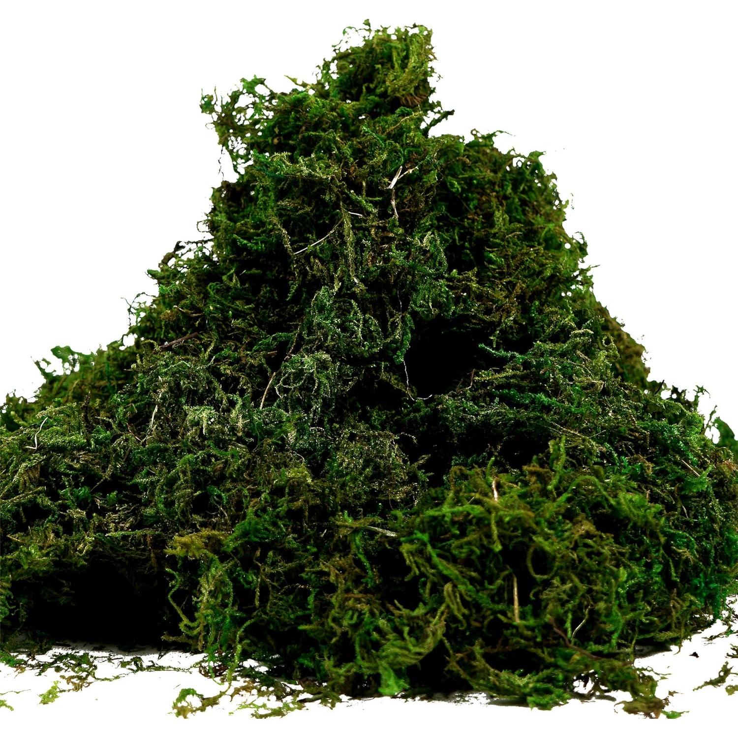Musgo Artificial BYHER 100g Verde Fresco para Decoración