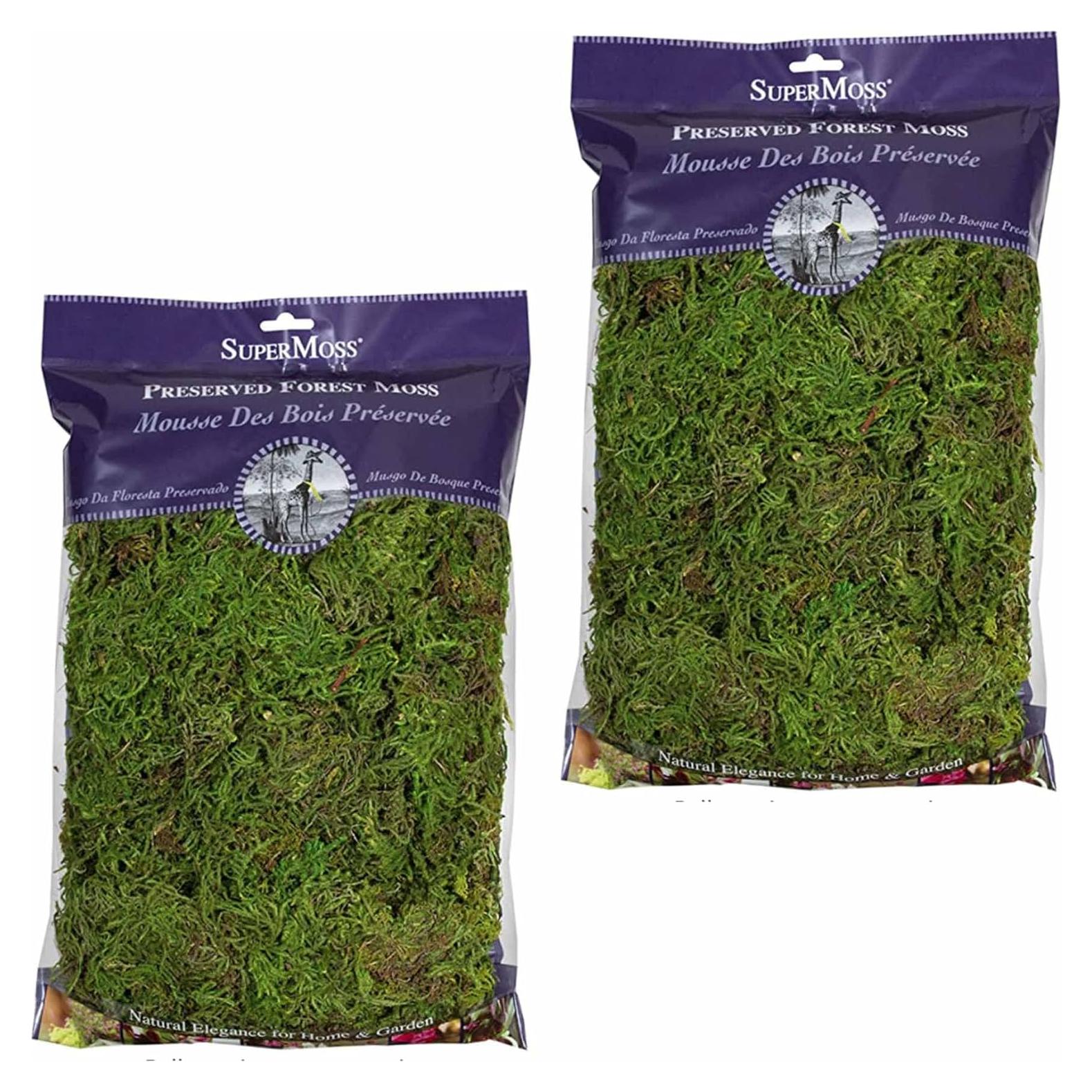 Musgo Conservado SuperMoss Verde Fresco 227g para Decoración
