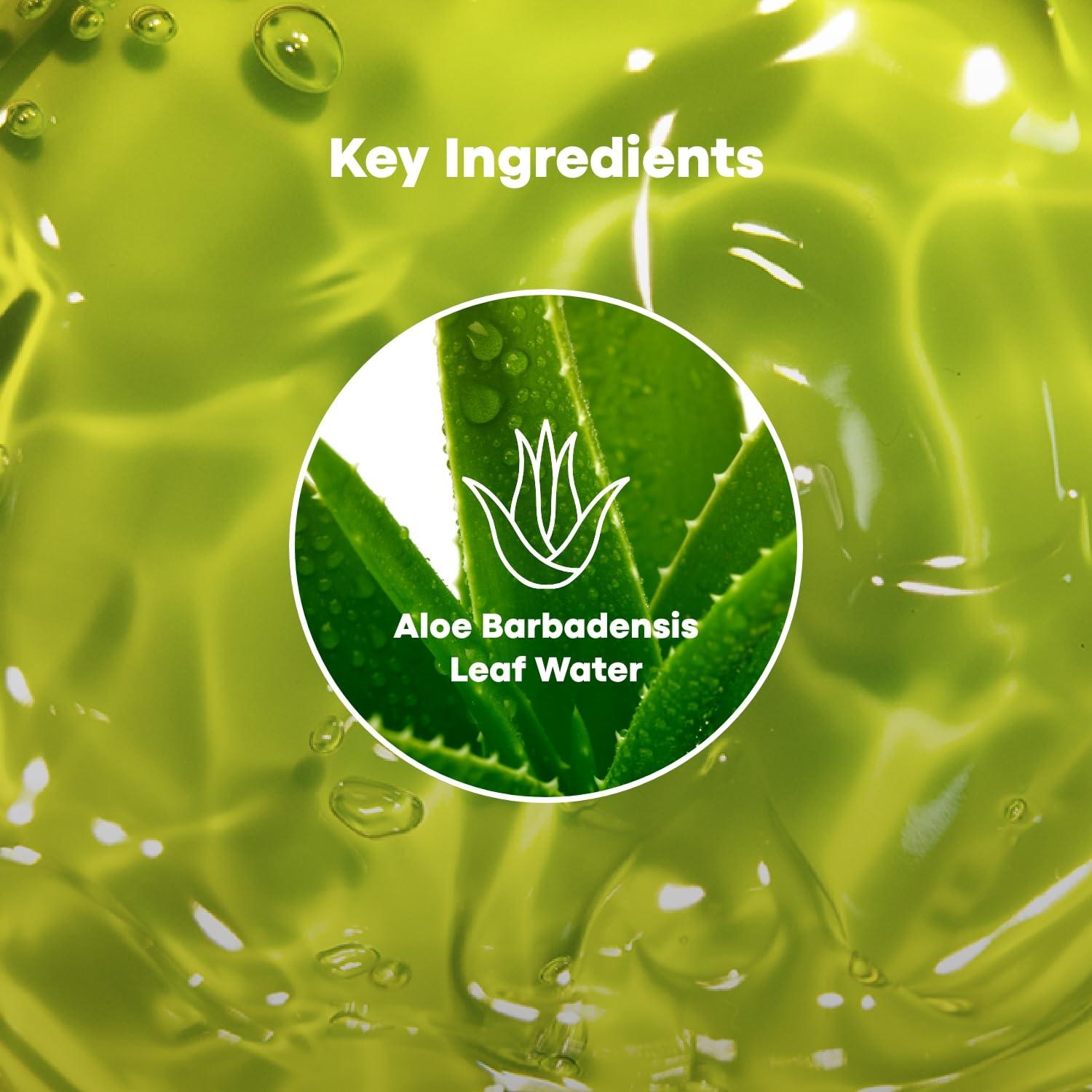 Gel Calmante de Aloe Vera 99% TONYMOLY 250 ml Hidratante