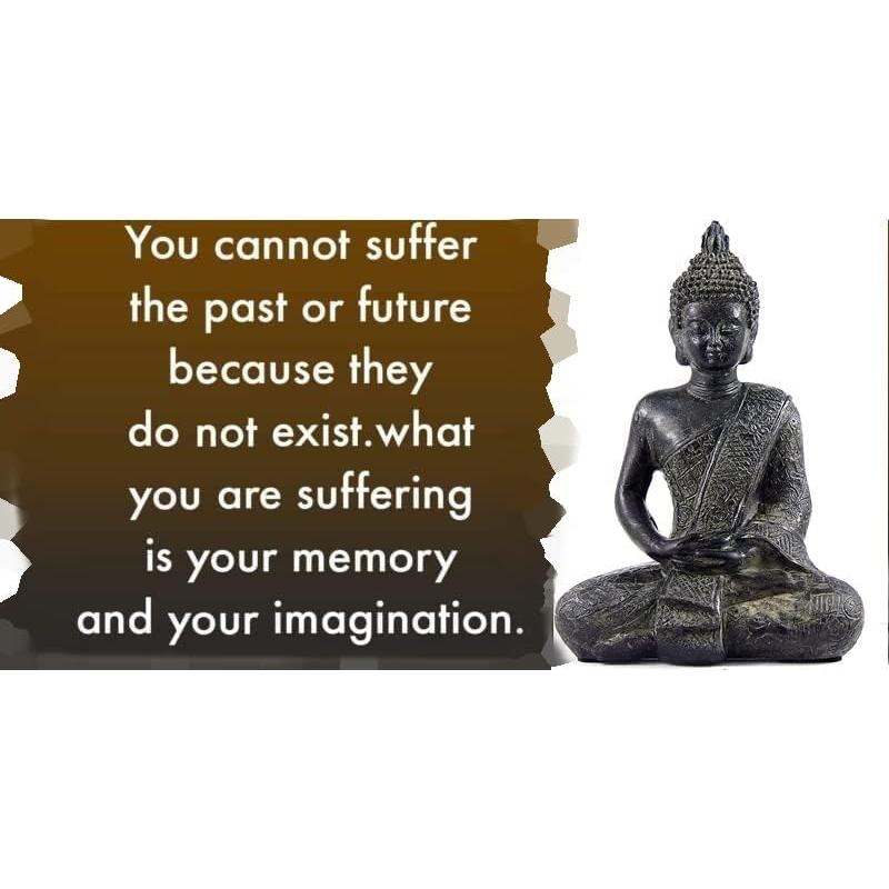 Estatua de Buda Negro Bellaa 14 cm Meditación Dhyana Mudra