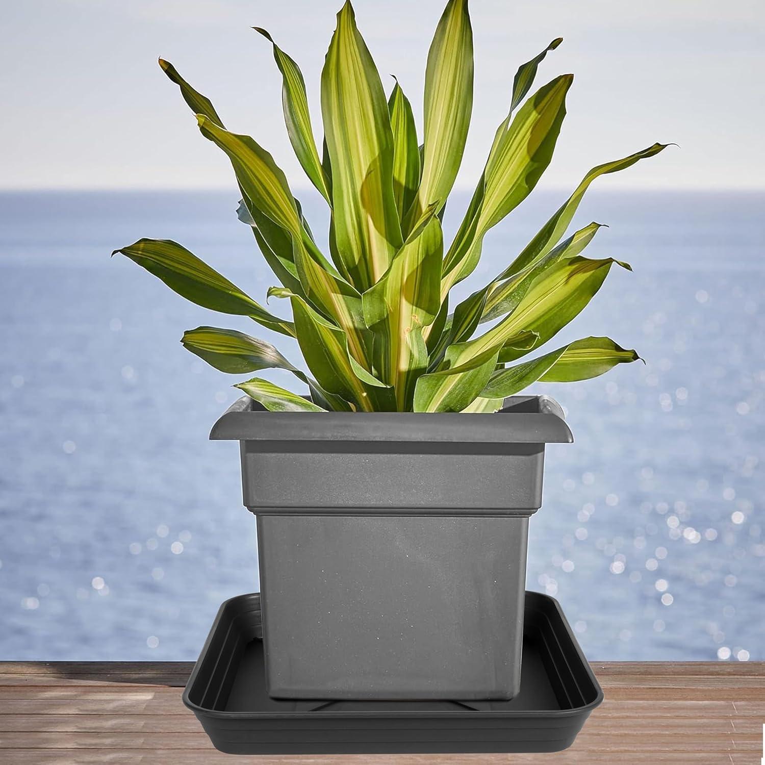 Paquete de 4 bandejas cuadradas para plantas 16 cm Feyvdzv