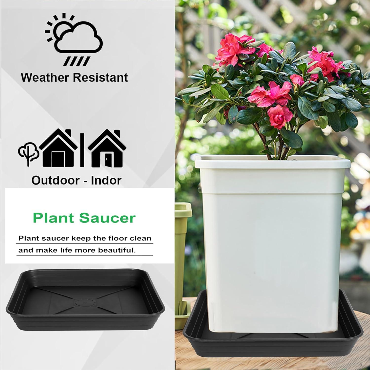 Paquete de 4 bandejas cuadradas para plantas 16 cm Feyvdzv