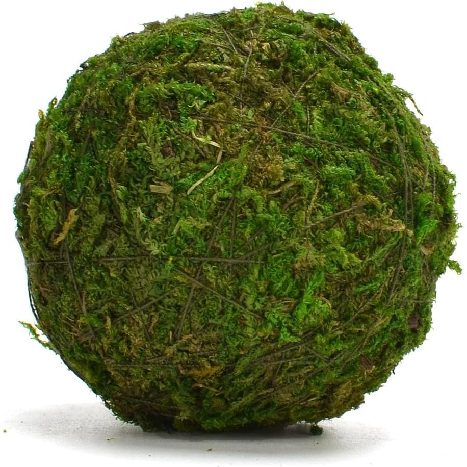 Bolas Decorativas de Musgo Natural BYHER - Set de 12 (5.08 cm)