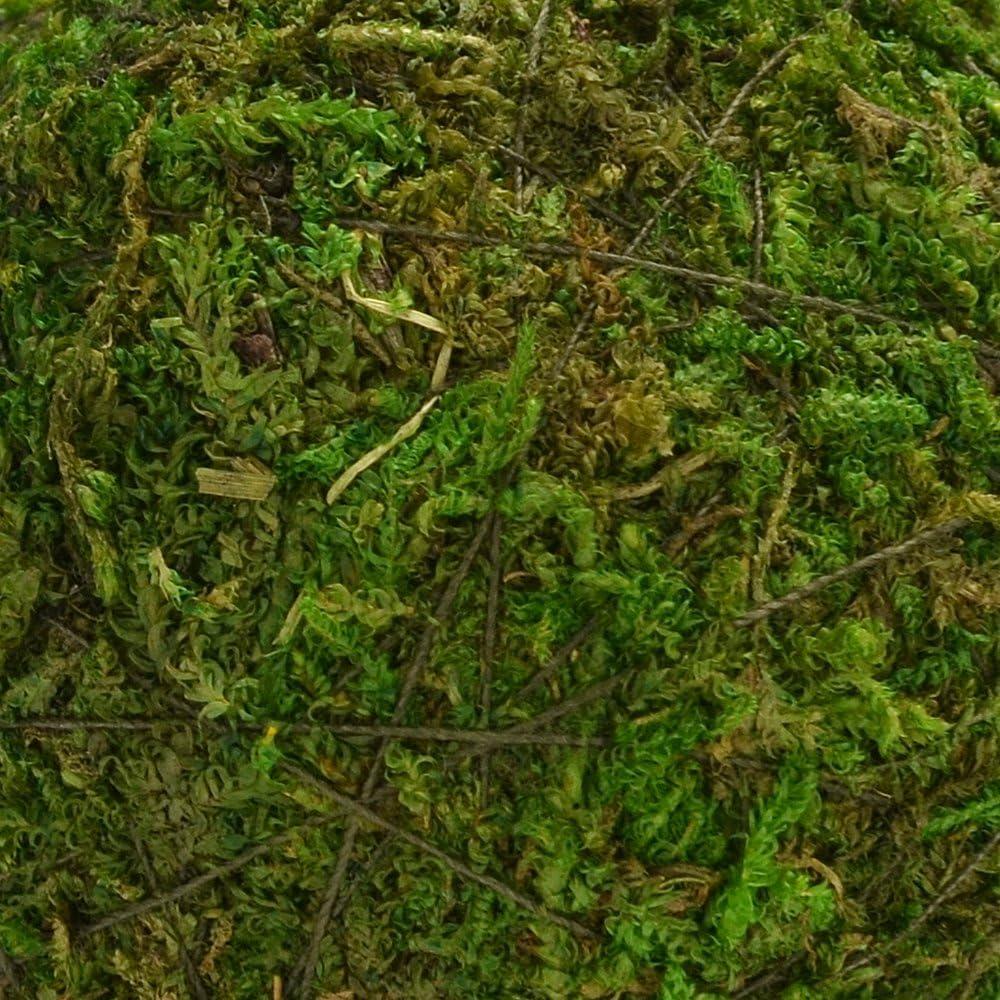 Bolas Decorativas de Musgo Natural BYHER - Set de 12 (5.08 cm)