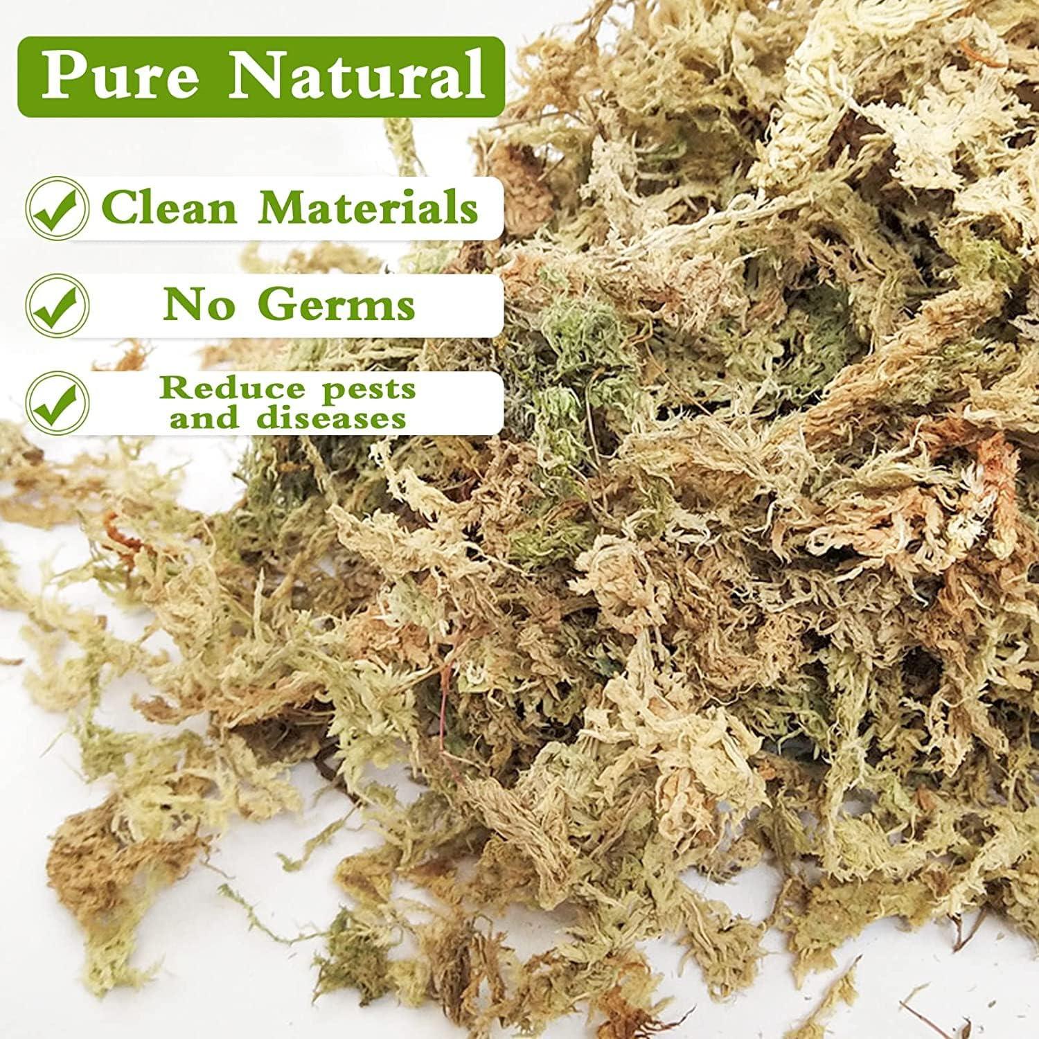 Mezcla de Sustrato Musgo Sphagnum Legigo 4 QT para Plantas