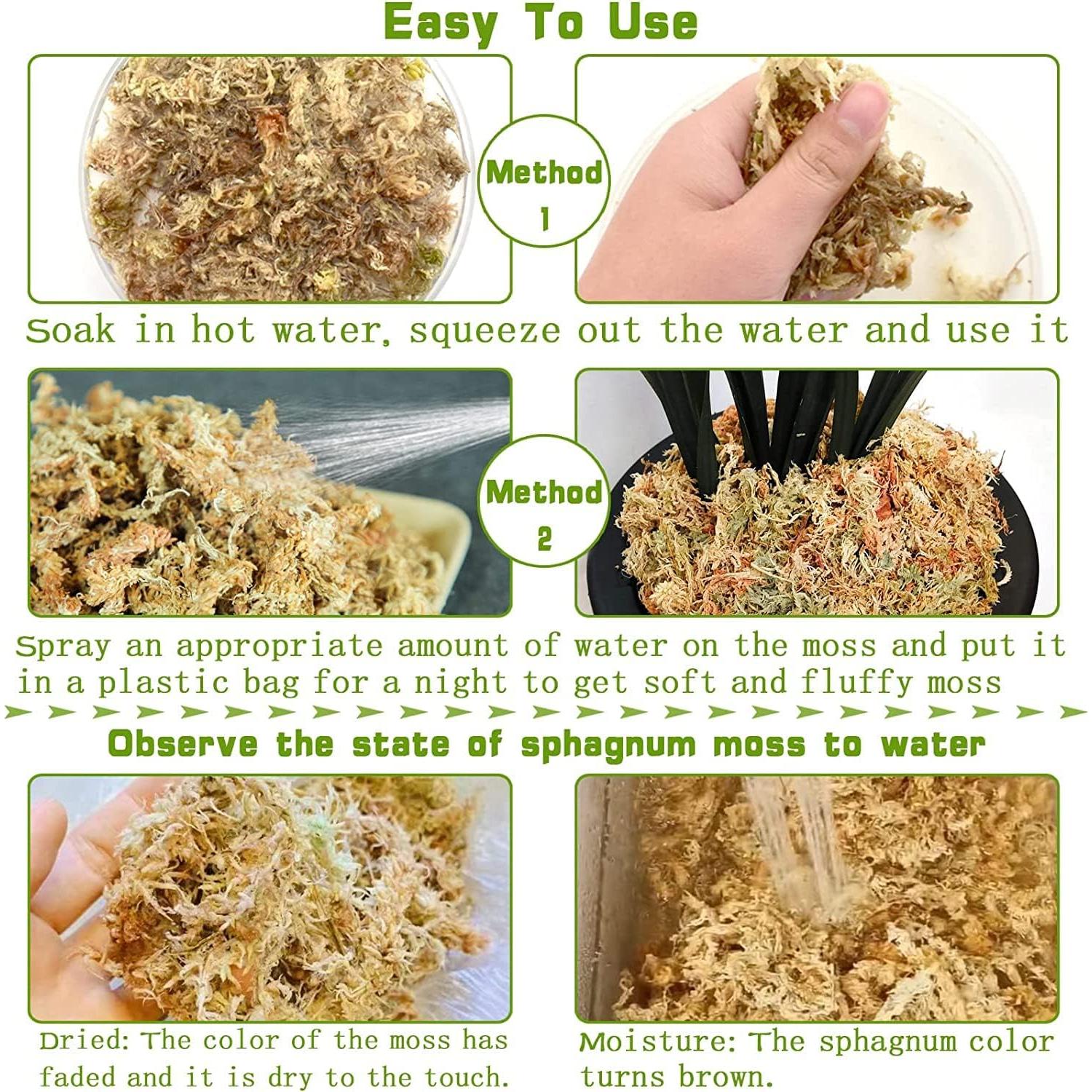 Mezcla de Sustrato Musgo Sphagnum Legigo 4 QT para Plantas