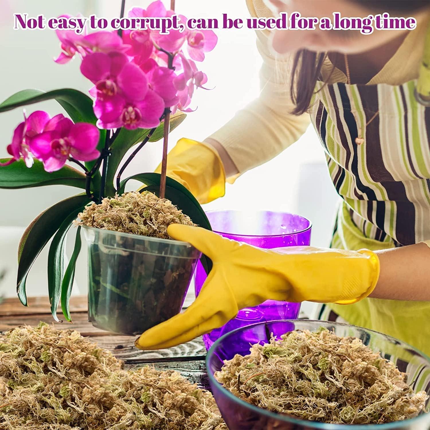 Mezcla de Sustrato Musgo Sphagnum Legigo 4 QT para Plantas