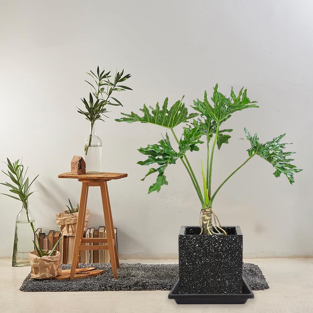 Plato Cuadrado para Plantas 15 cm - 4 Paquete - Feyvdzv