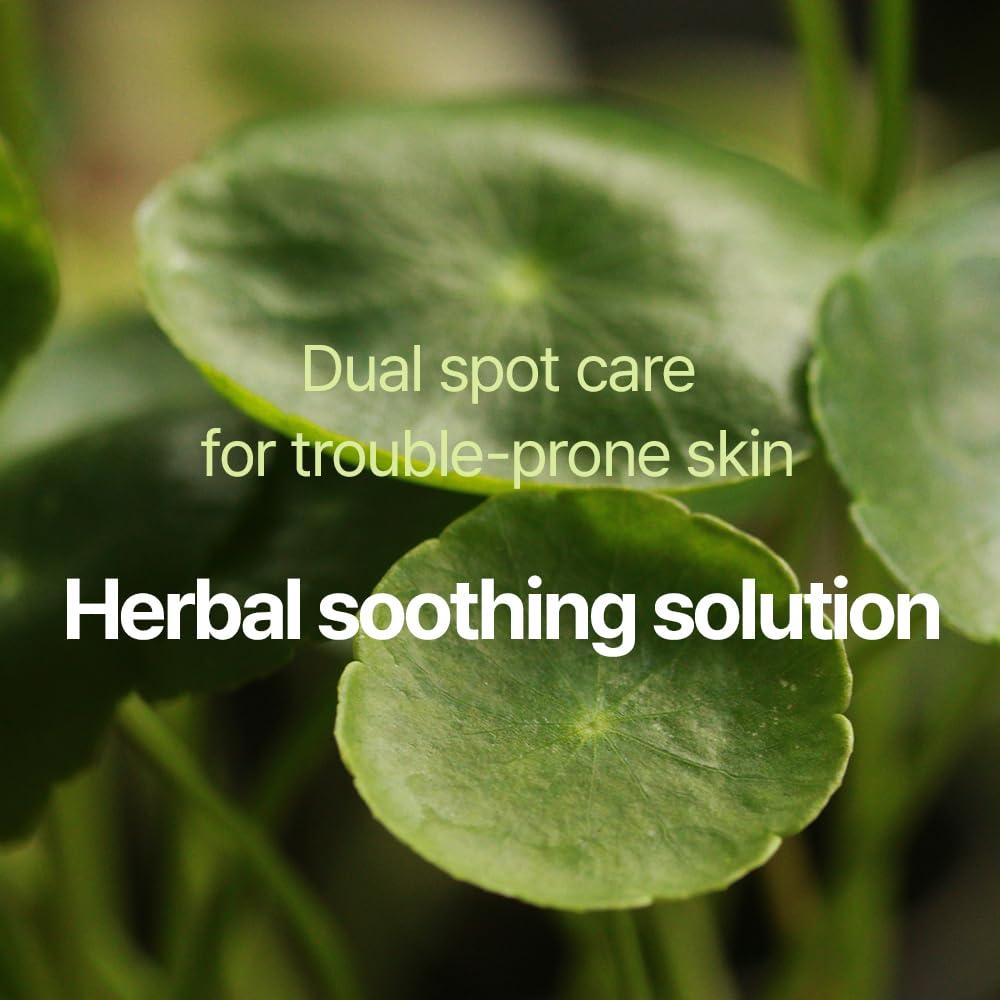 Parche Calmante PYUNKANG YUL Clear Spot 165 unidades Hidrocoloide