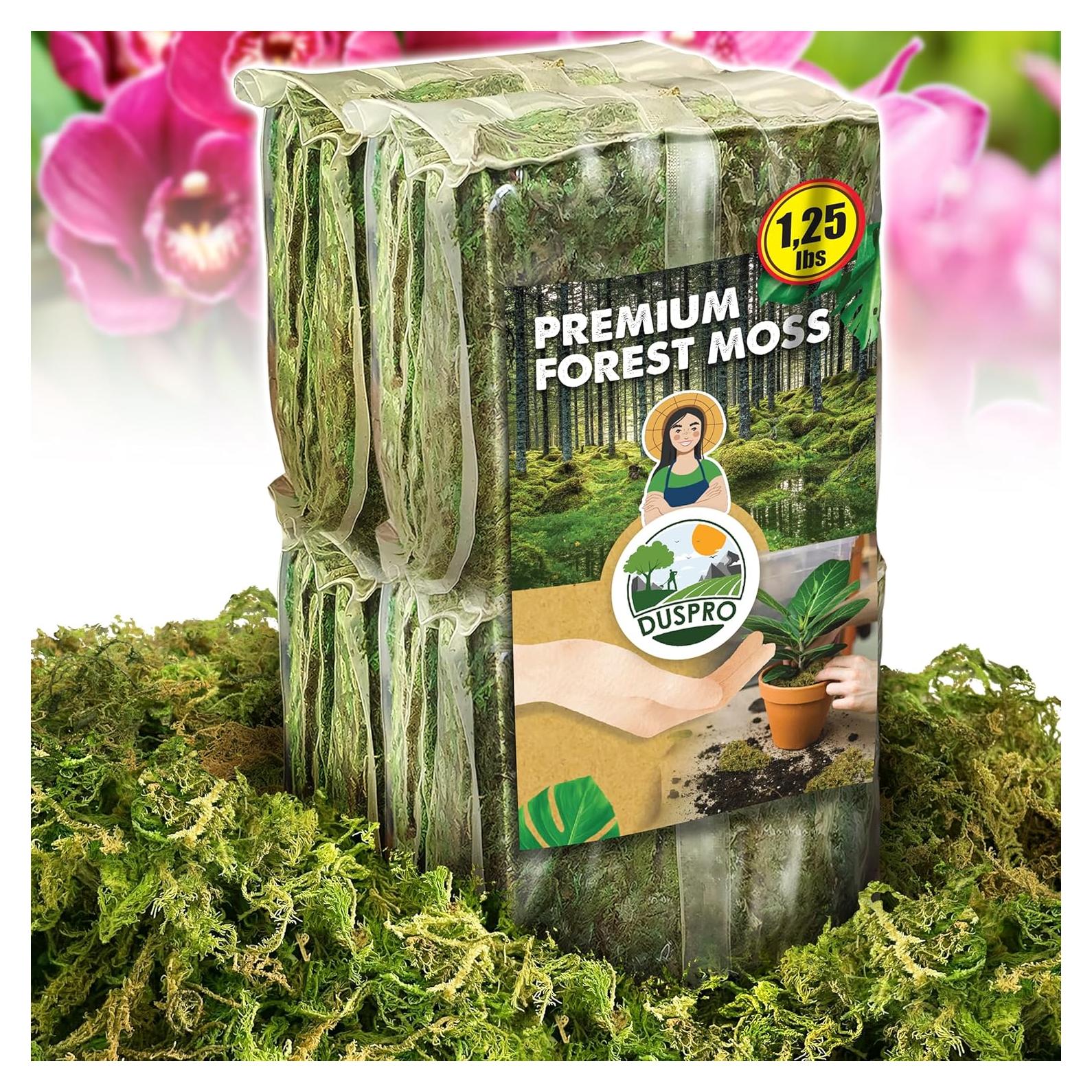 Musgo Seco de Bosque DUSPRO 0.57 kg para Orquídeas y Jardinería