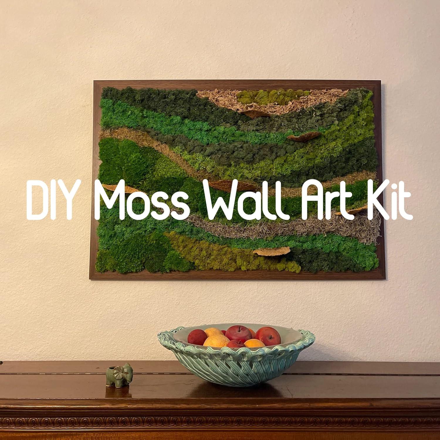 Musgo Conservado Verde Natural SZYD 2 Pies Cuadrados Decorativo