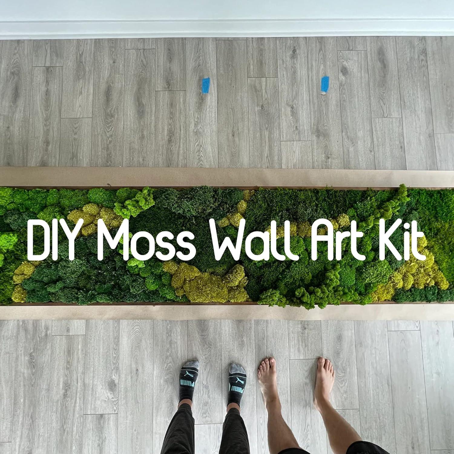 Musgo Conservado Verde Natural SZYD 2 Pies Cuadrados Decorativo