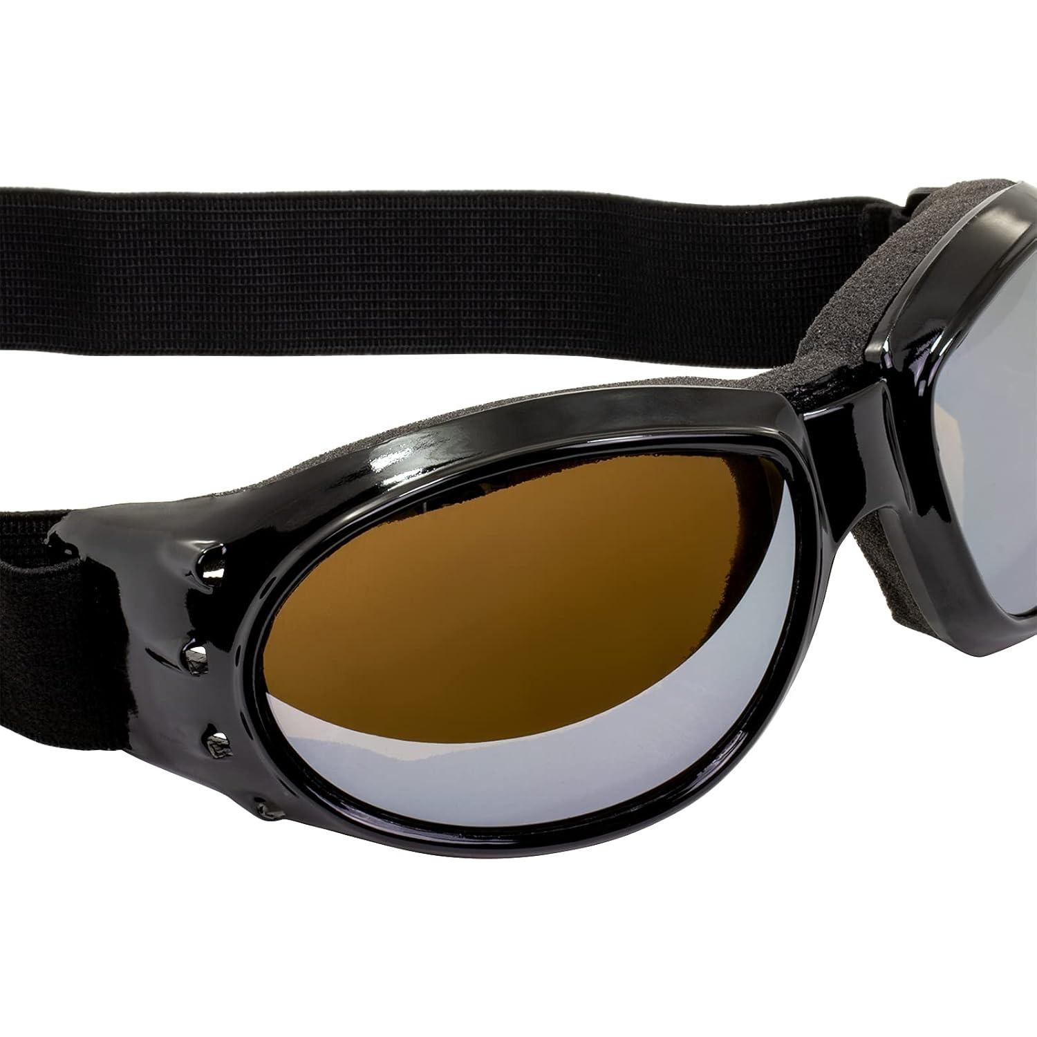 Gafas de Motocicleta Birdz Eyewear Eagle con Lentes Espejados