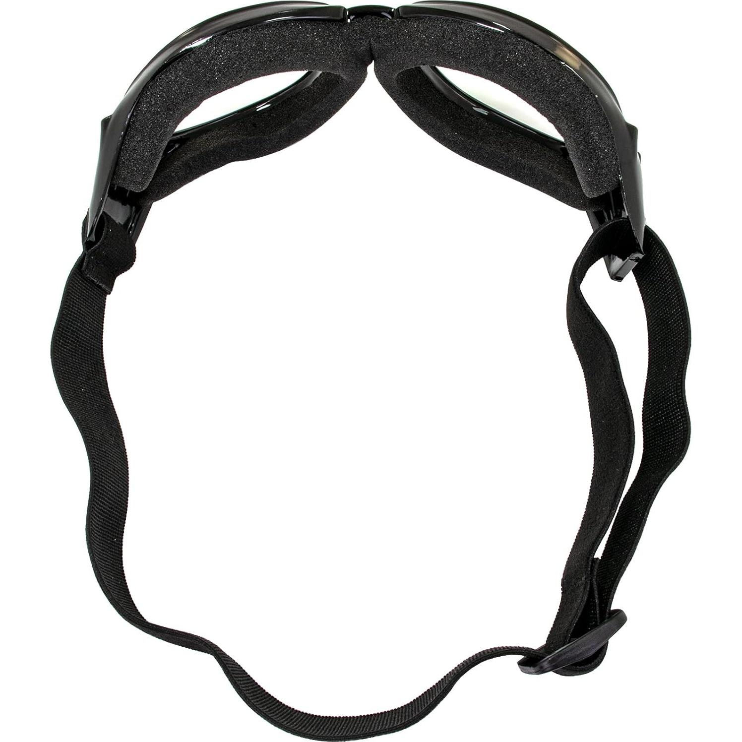 Gafas de Motocicleta Birdz Eyewear Eagle con Lentes Claras