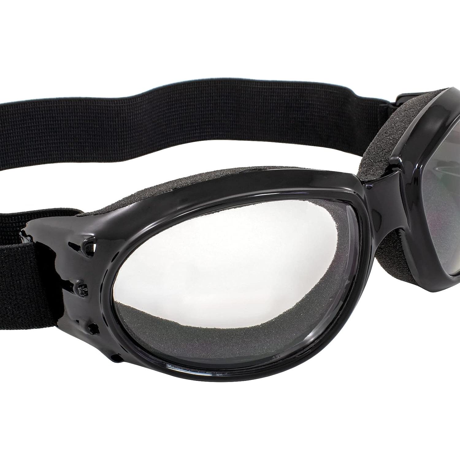 Gafas de Motocicleta Birdz Eyewear Eagle con Lentes Claras