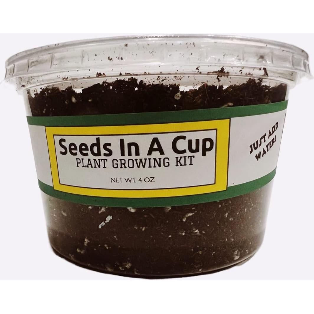 Kit de Cultivo de Plantas Semillas en Taza - Anís