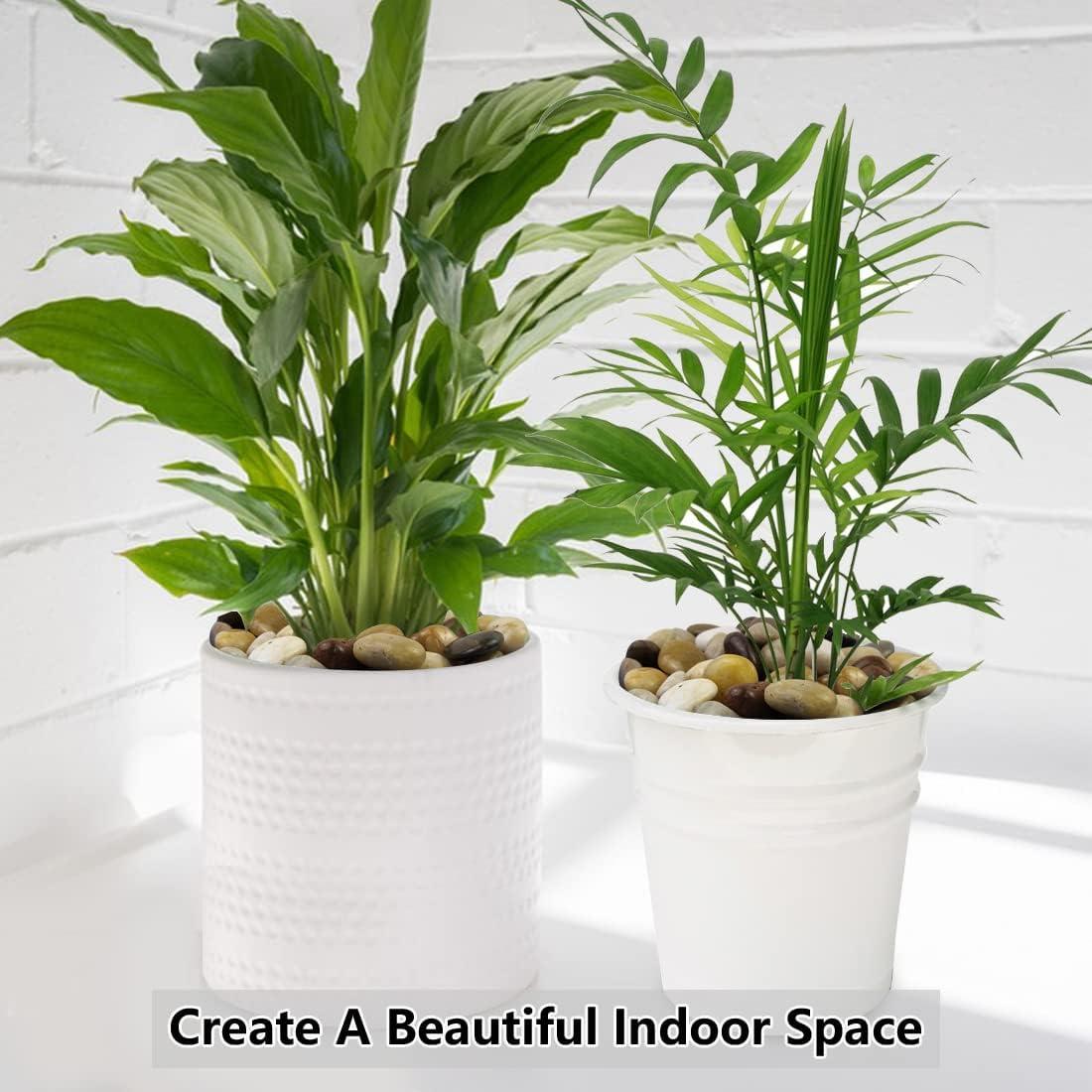 Guijarros Decorativos YISZM 0.91 kg para Jardinería y Acuarios