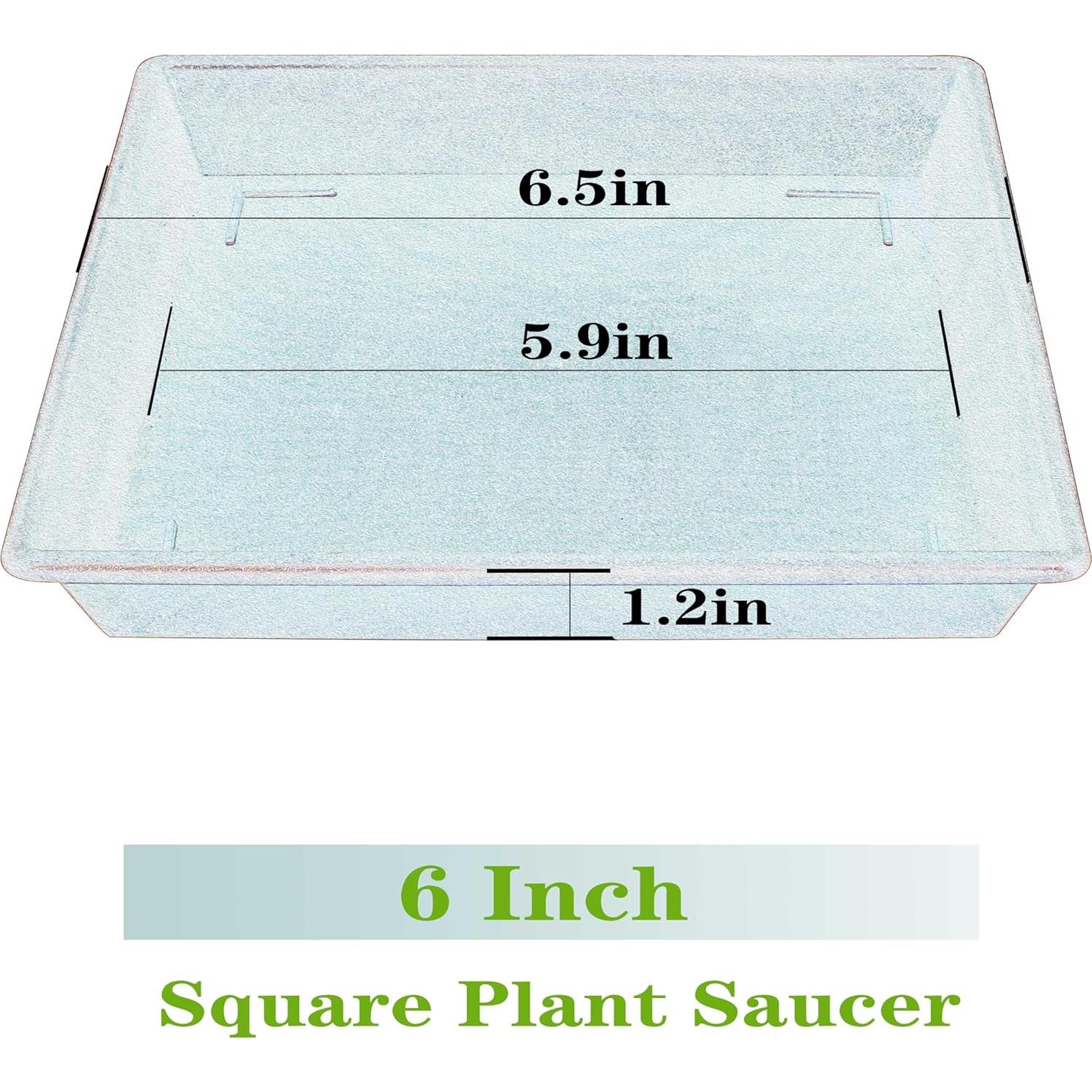 Plato Cuadrado para Plantas 15 cm NIMYAU - Paquete de 5