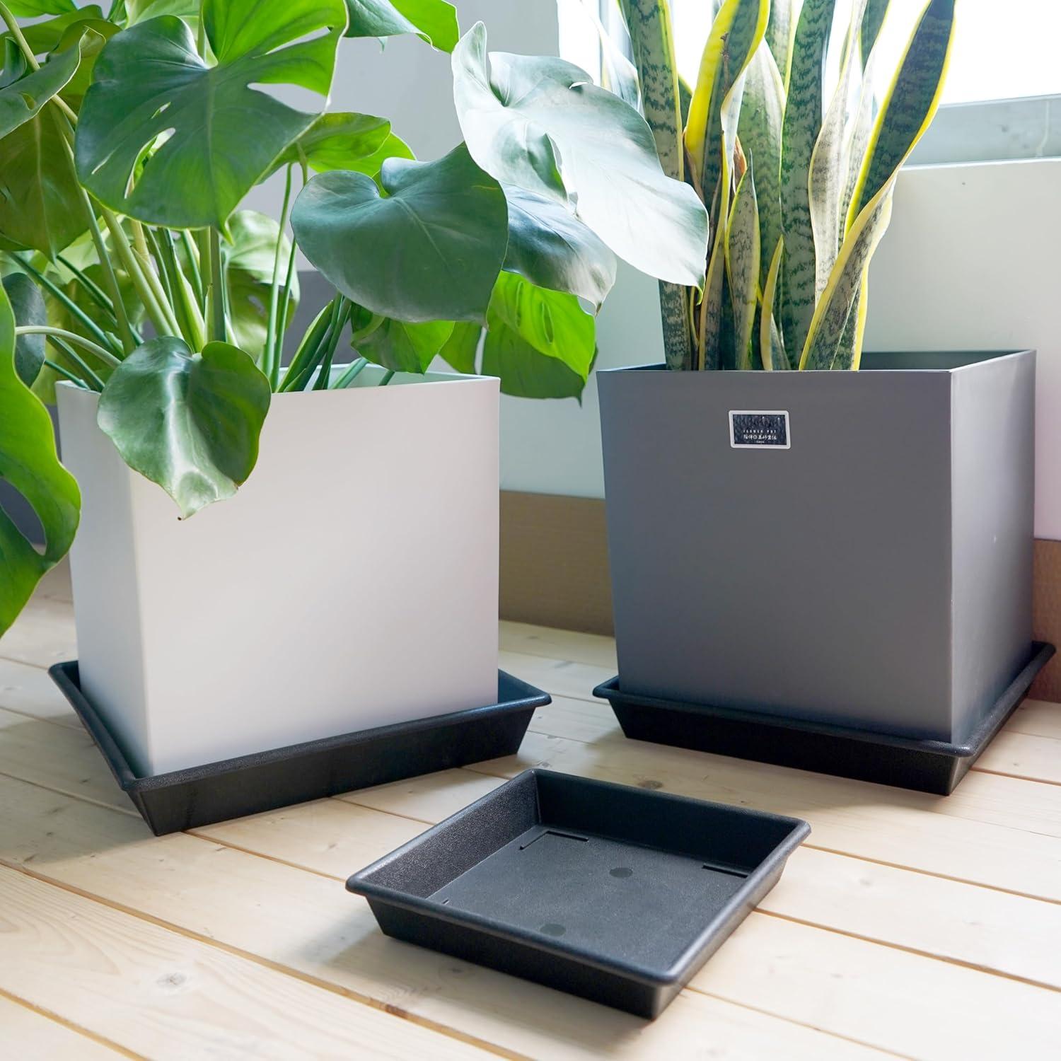 Plato Cuadrado para Plantas 15 cm NIMYAU - Paquete de 5