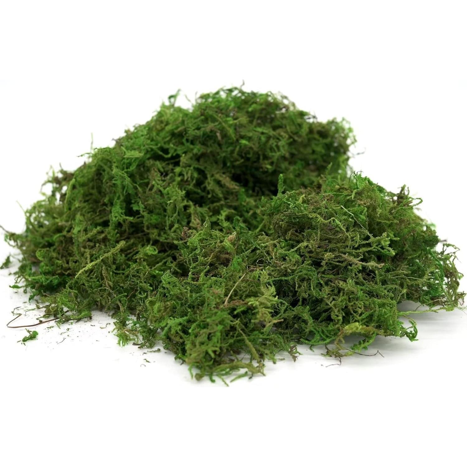 Musgo Falso Usmola 113.4g Verde Fresco para Decoración