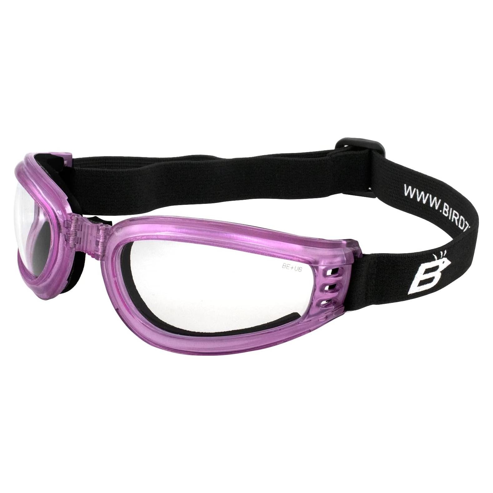 Gafas de Motocicleta Padded Cardinal Birdz Eyewear Rosa