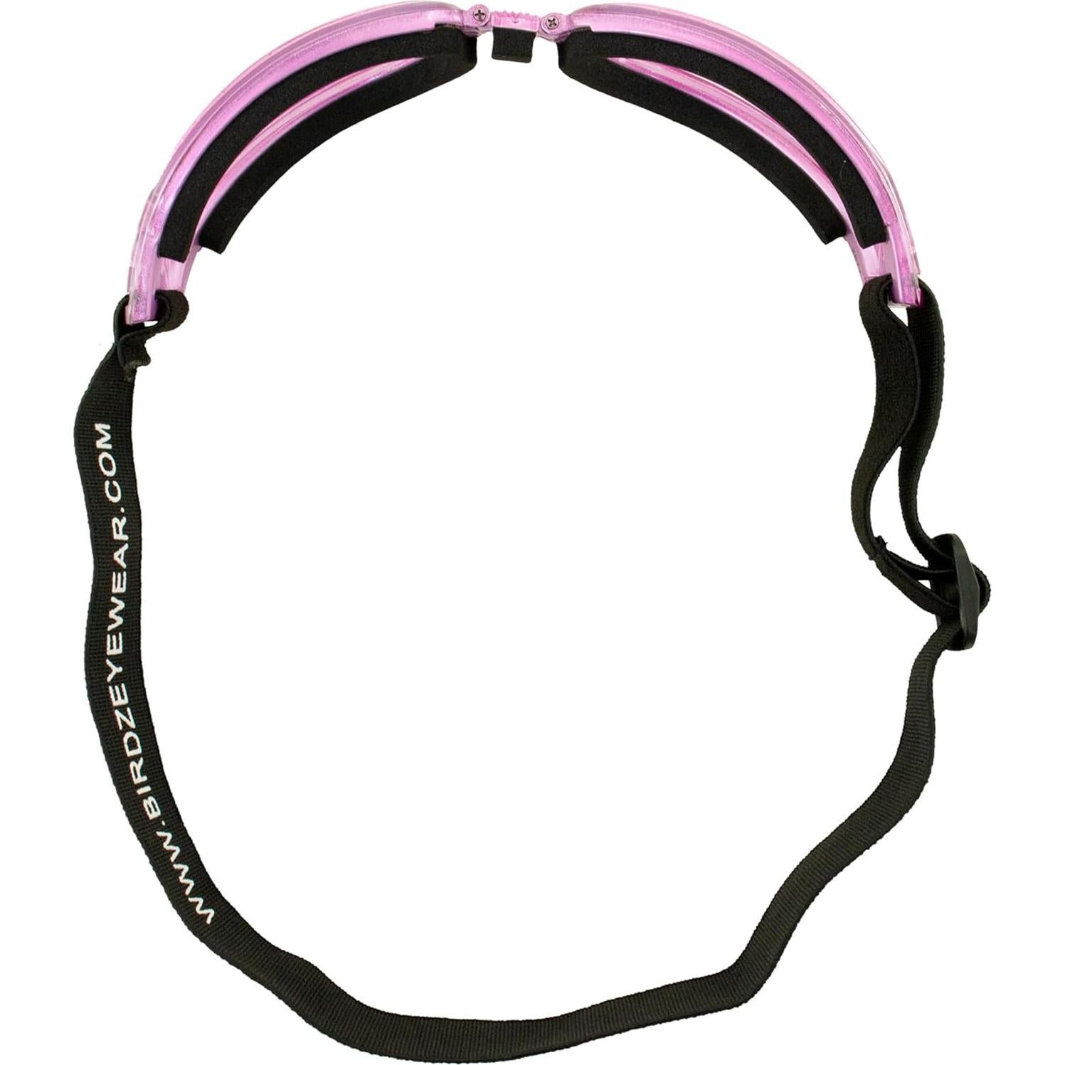 Gafas de Motocicleta Padded Cardinal Birdz Eyewear Rosa