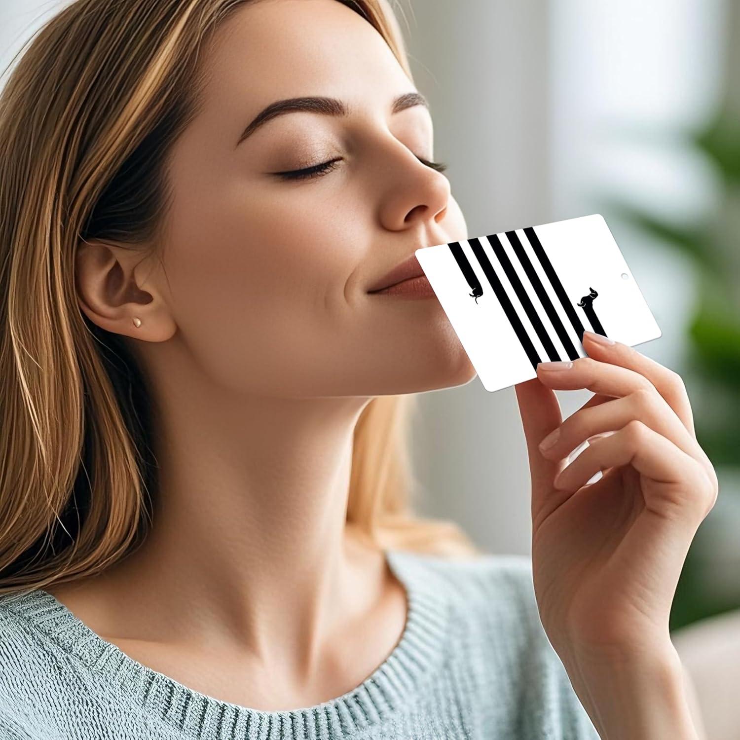 Ambientador de coche Mancheng-zi 3Pcs Perro Salchicha Aromas