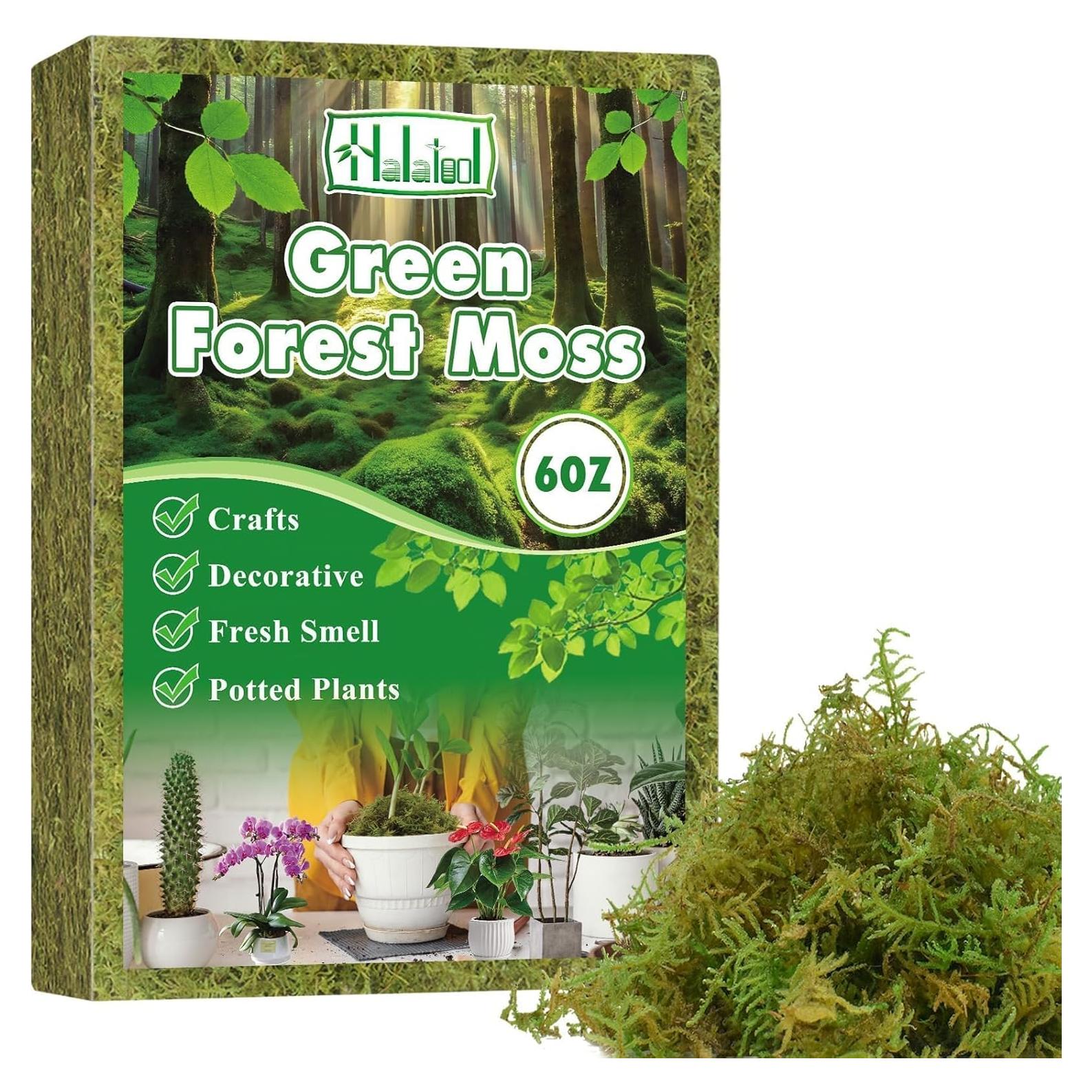 Musgo Verde Natural Halatool 170g para Plantas de Interior