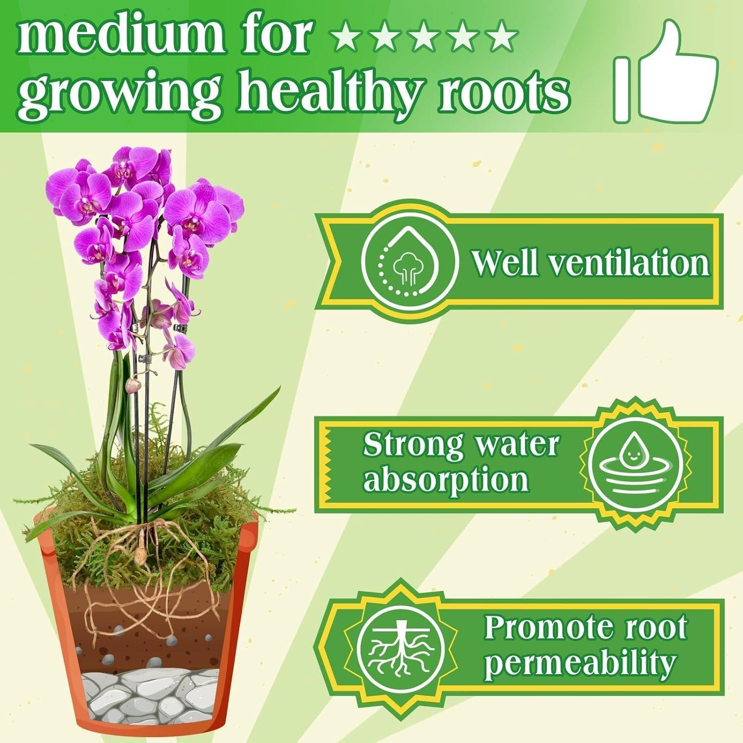 Musgo Verde Natural Halatool 170g para Plantas de Interior