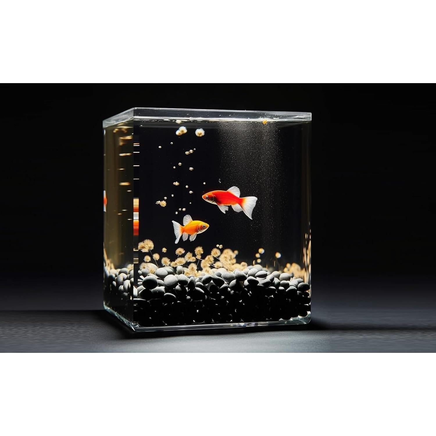 Piedras de Río Pulidas StoneCreek 0.91 kg Decorativas Jardín