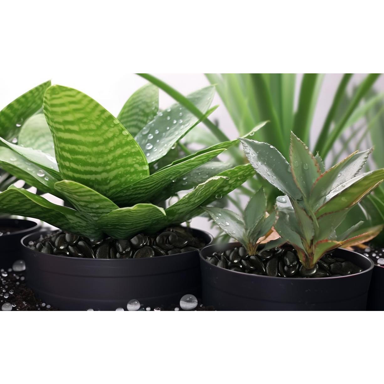 Piedras de Río Pulidas StoneCreek 0.91 kg Decorativas Jardín