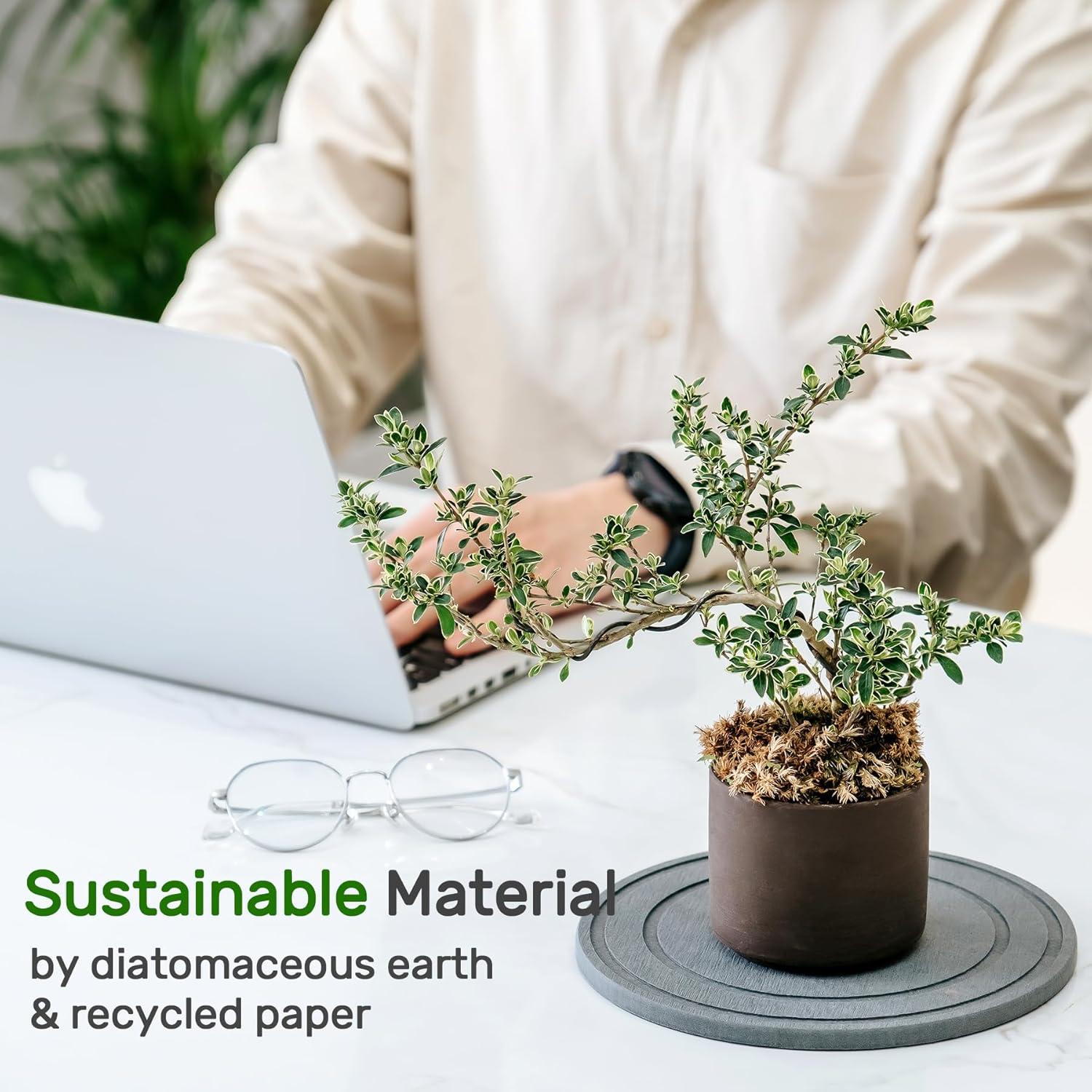 Plato de Tierra de Diatomeas Relime 15 cm para Plantas Interior