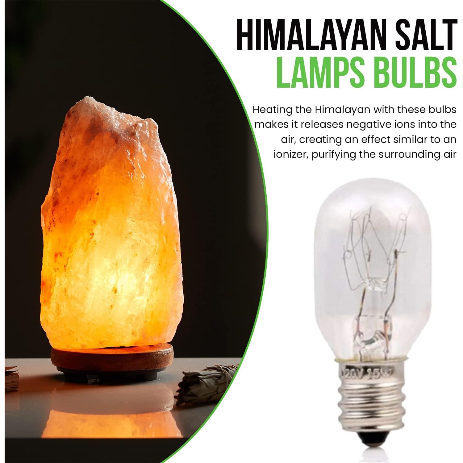 Bombillas Incandescentes T7 15W E12 para Lámparas de Sal - 6 Pzas