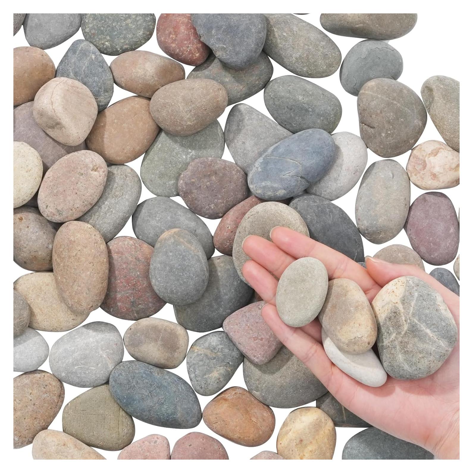 Piedras de Río Naturales 2.27 kg 2.54-5.08 cm para Jardinería