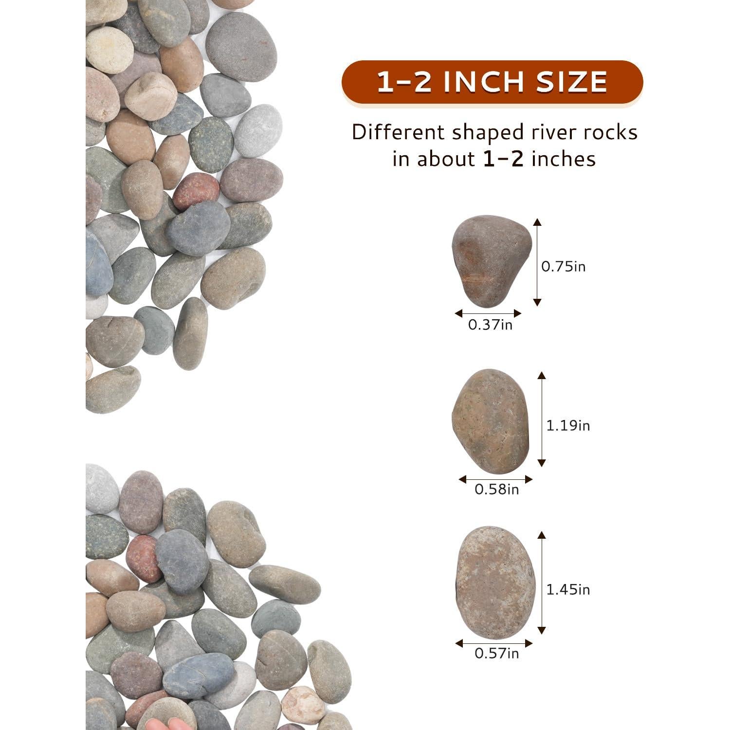 Piedras de Río Naturales 2.27 kg 2.54-5.08 cm para Jardinería