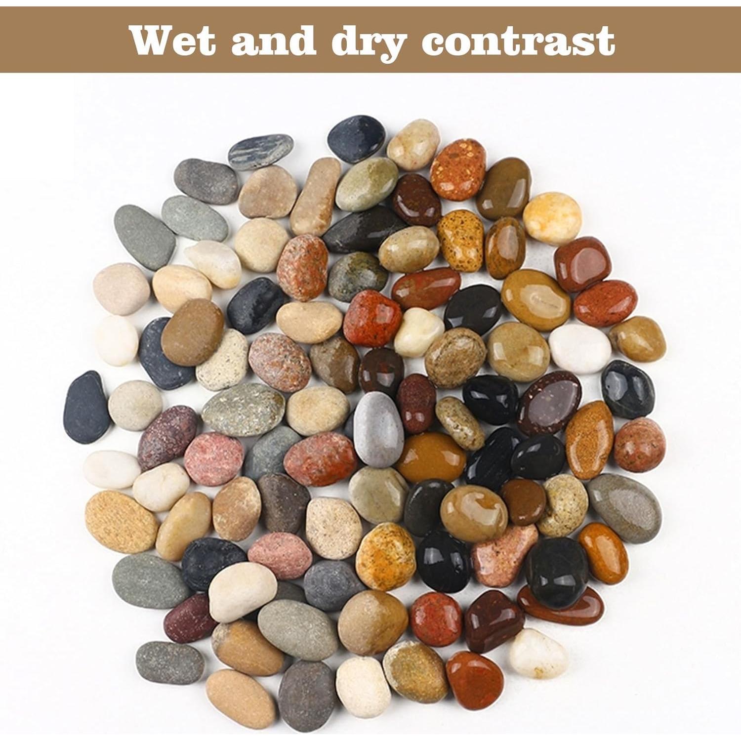 Piedras de Río Naturales 2.27 kg 2.54-5.08 cm para Jardinería