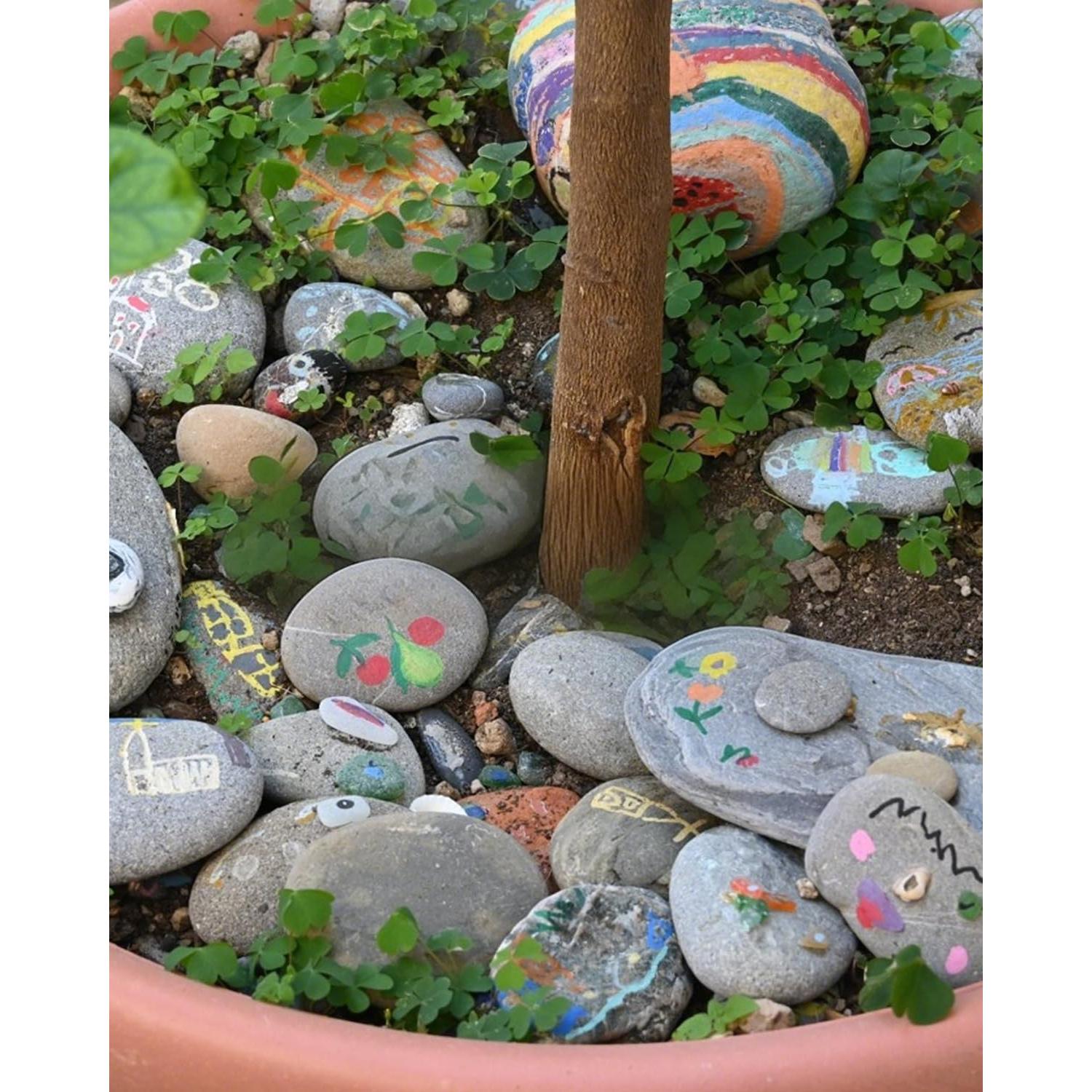 Piedras de Río Naturales 2.27 kg 2.54-5.08 cm para Jardinería