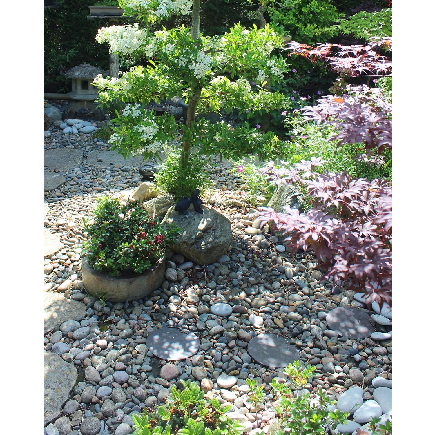 Piedras de Río Naturales 2.27 kg 2.54-5.08 cm para Jardinería